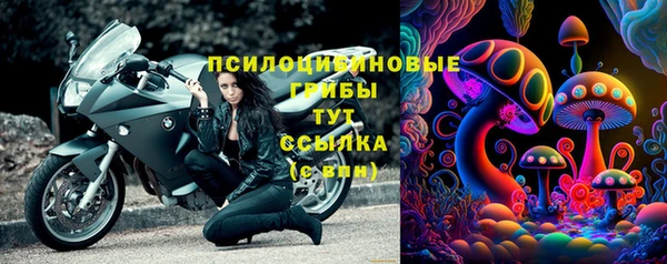 a pvp Алзамай
