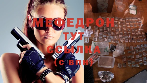 индика Козельск
