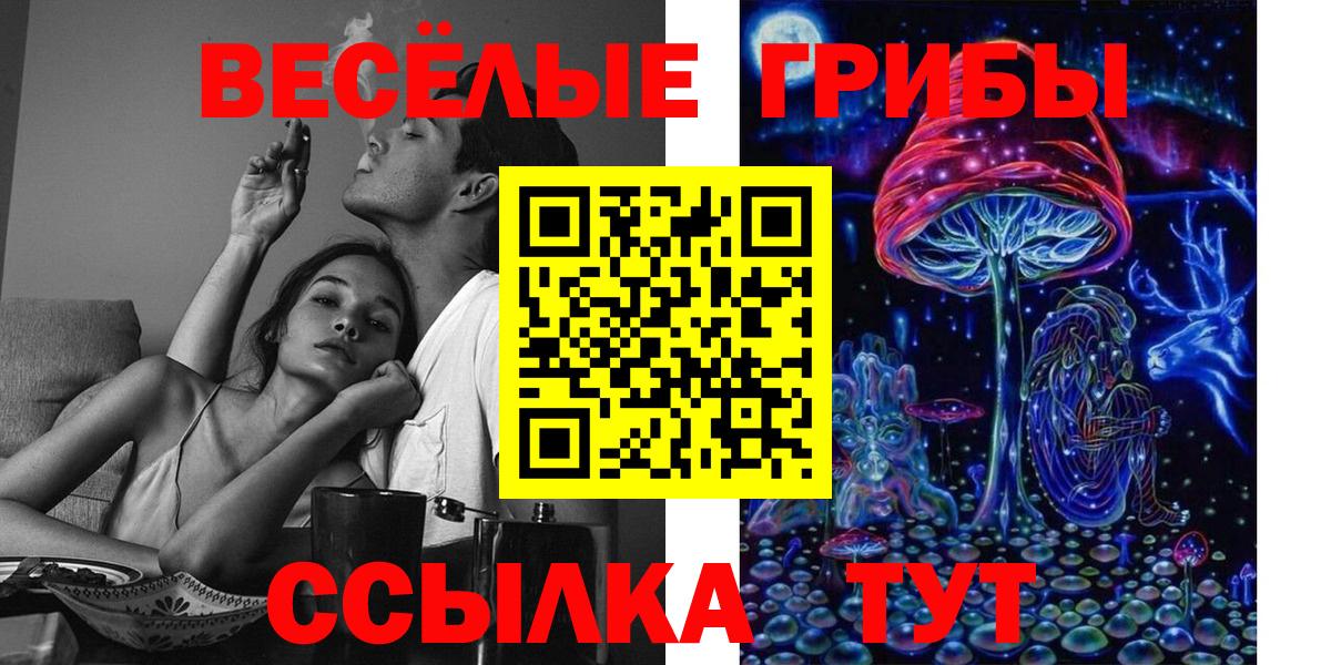 Псилоцибиновые грибы Psilocybe Керчь