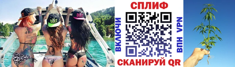 Конопля гибрид  площадка состав  Керчь 